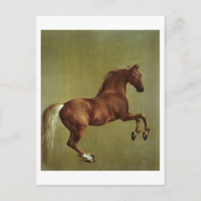 Postal George Stubbs | Whistlejacket, 1762 (Anverso)