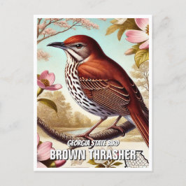 Postal Georgia State Bird Brown Thrasher
