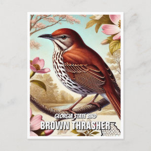 Postal Georgia State Bird Brown Thrasher