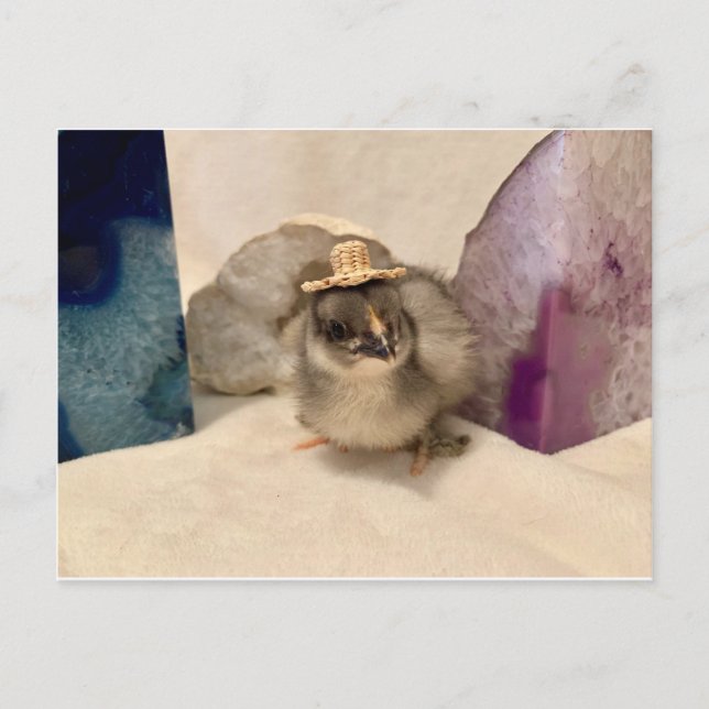 Postal Geotio (Anverso)