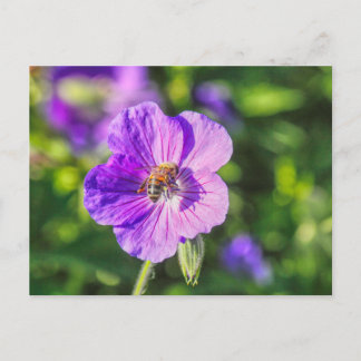 Postal Geranio púrpura con abeja de miel