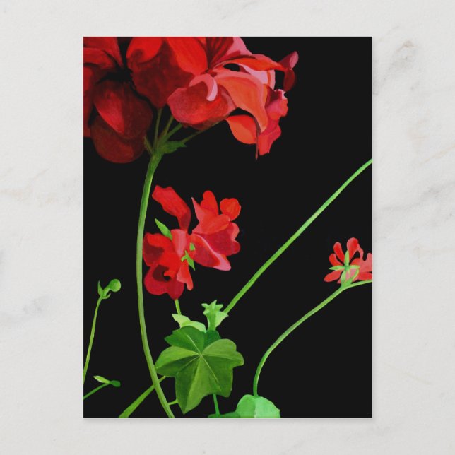 Postal Geranium (Anverso)