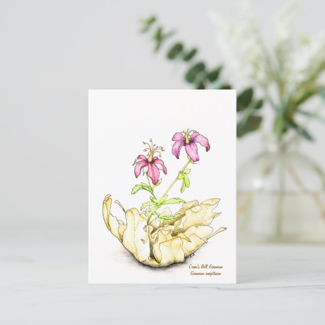 Postal Geranium wildflower watercolor (Anverso de pie)