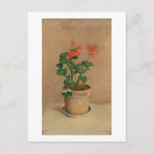 Postal Geraniums in a Pot, c.1905 (aceite sobre lienzo)