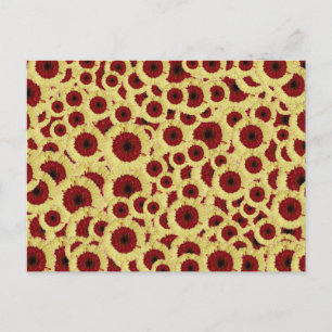 Postal Gerber Daisies