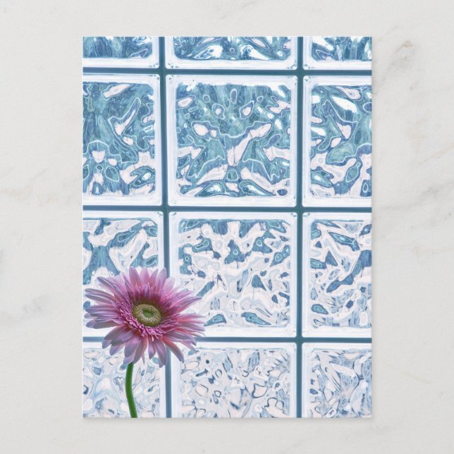 Postal Gerber Daisy (Anverso)