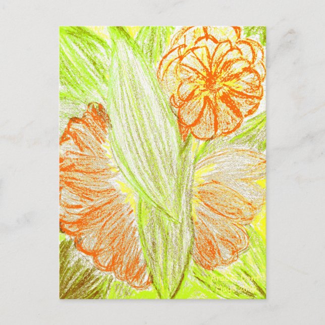 Postal Gerbera and Aspidistra elatior, (Anverso)
