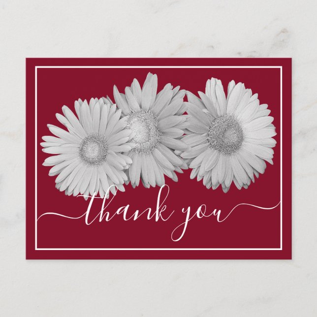 Postal Gerbera Daisies Crimson Background Gracias (Anverso)