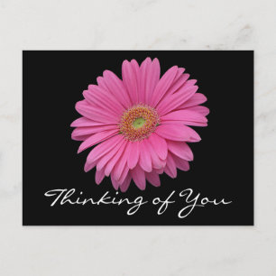 Postal Gerbera Daisy Floral Rosa Flor Pensando en Ti