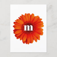 Gerbera Daisy Monograma Inicial