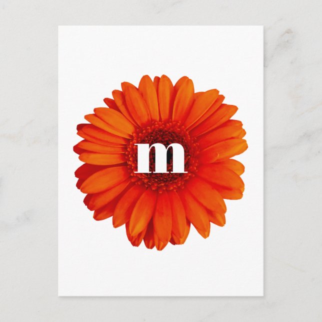 Postal Gerbera Daisy Monograma Inicial (Anverso)