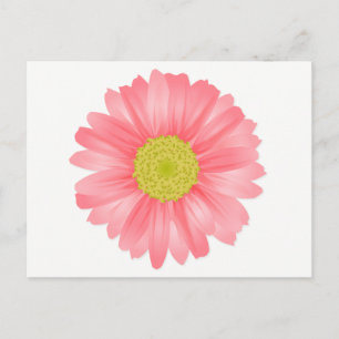 Postal Gerbera Floral Margarita Rosa y Amarilla