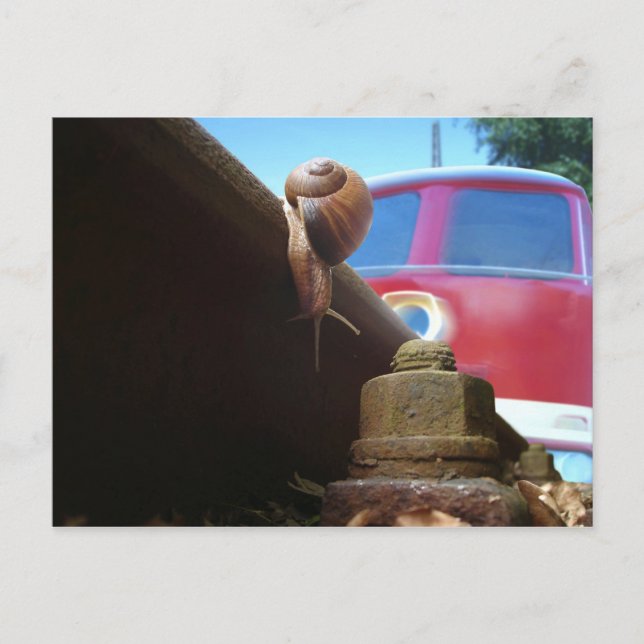 Postal gerettet (Anverso)