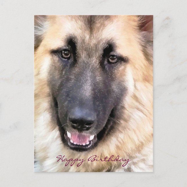 POSTAL GERMAN SHEPHERD (Anverso)