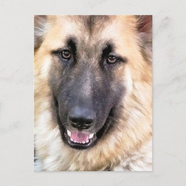 POSTAL GERMAN SHEPHERD (Anverso)