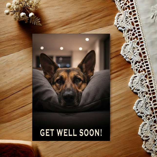 Postal German Shepherd Get Well Postcard (Subido por el creador)