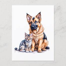 Postal German Shepherd Puppy And Maincoon Kitten