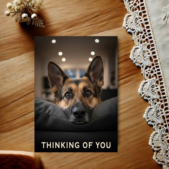 Postal German Shepherd Thinking Of You Postcard (Subido por el creador)