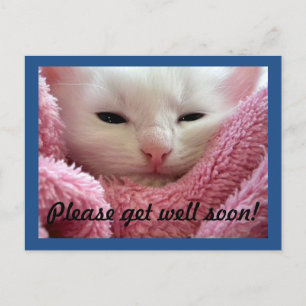 Postal Get Well Kitten