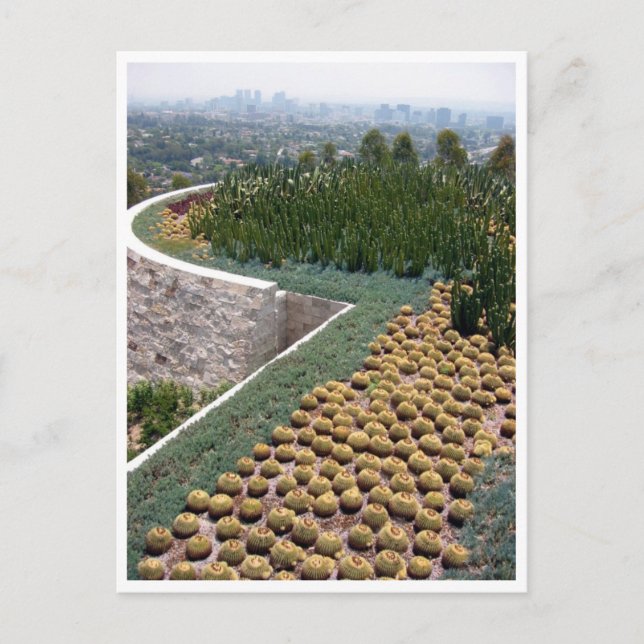 Postal getty museum cacti (Anverso)