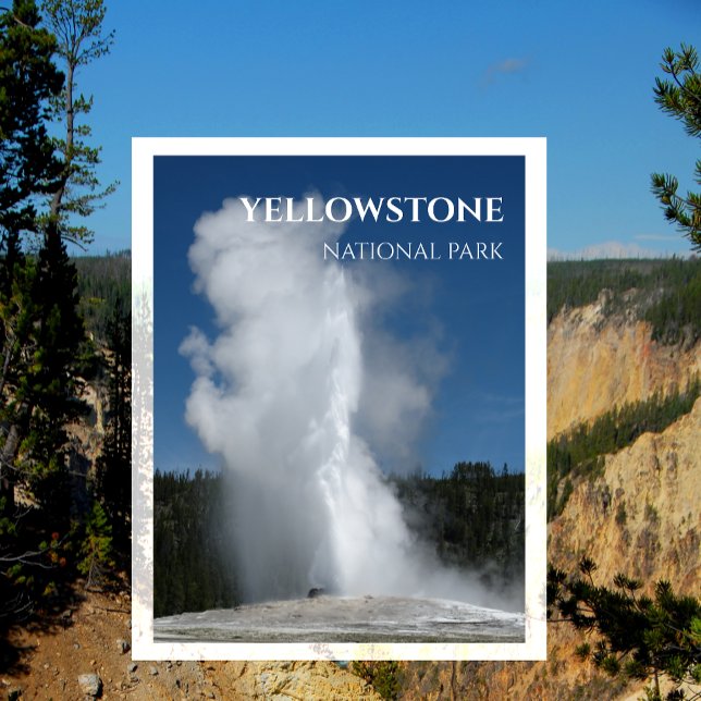 Postal Geyser de la vieja fe, Parque Nacional Yellowstone (Subido por el creador)