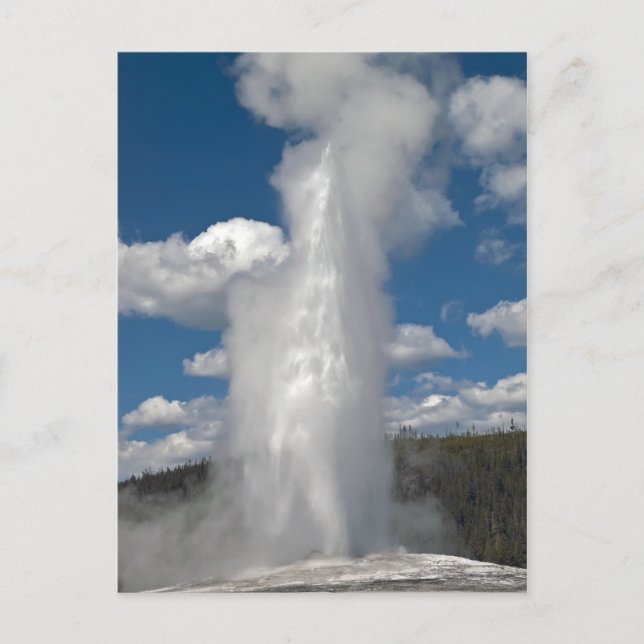 Postal Geyser de vieja fe - Postcard (Anverso)
