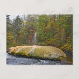 Postal Geyser Island Spouter, Saratoga Springs, Nueva Yor