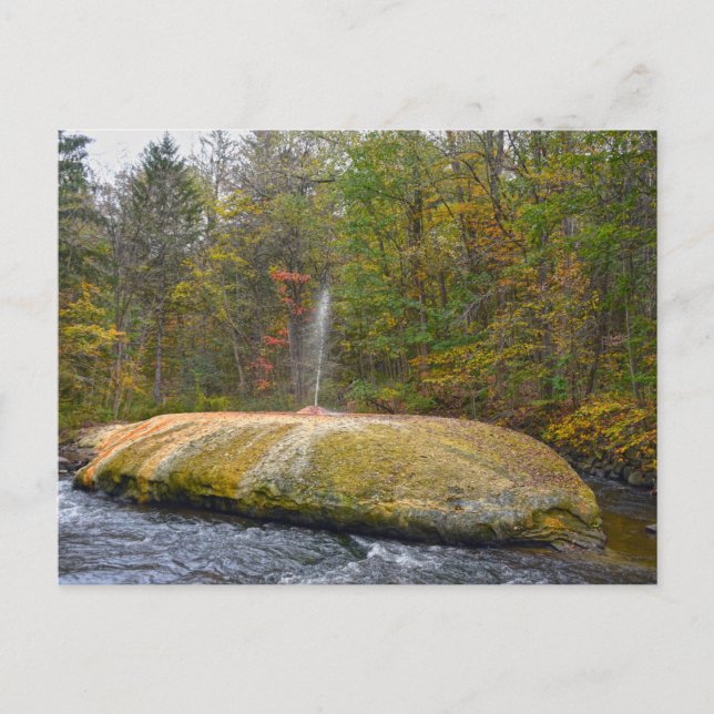 Postal Geyser Island Spouter, Saratoga Springs, Nueva Yor (Anverso)