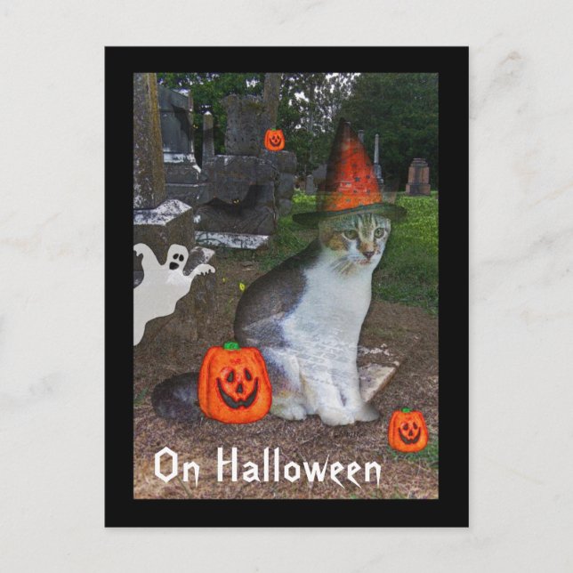 Postal Ghost Cat (Anverso)