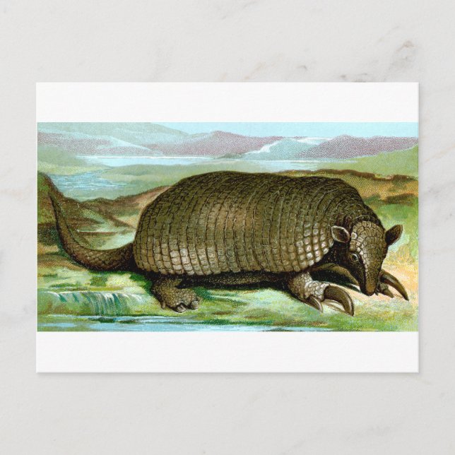 Postal Giant Armadillo (Anverso)