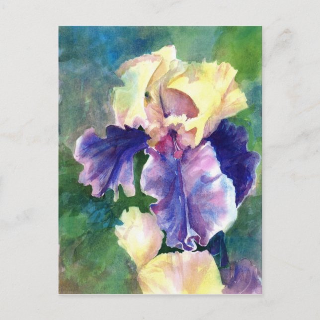 Postal Giant Bearded Iris (Anverso)