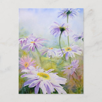 Postal Giant Daisies