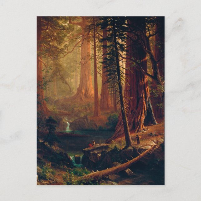 Postal Giant Redwood Trees of California by A. Bierstadt (Anverso)