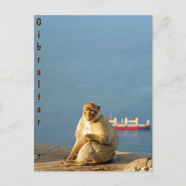 Postal Gibraltar Barbary ape (Anverso)