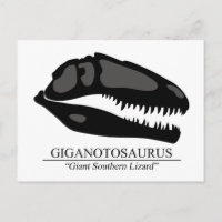 Giganotosaurus Skull