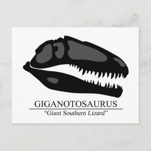 Postal Giganotosaurus Skull