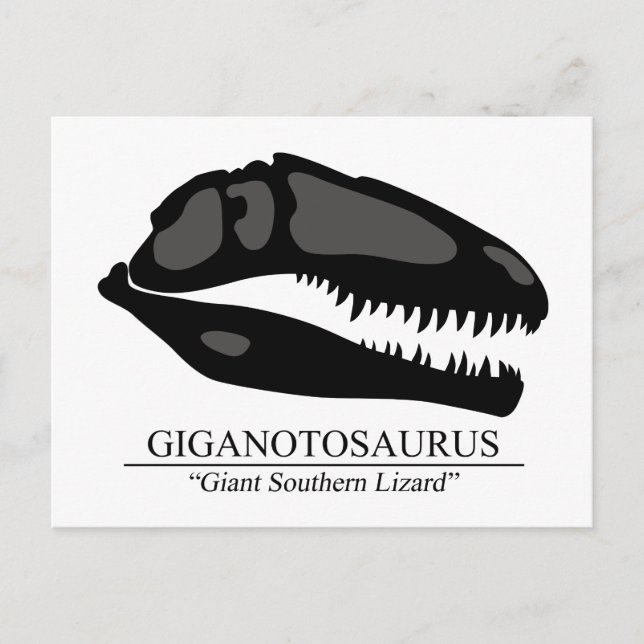 Postal Giganotosaurus Skull (Anverso)