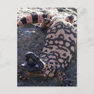 Postal Gila Monster