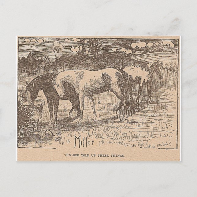 Postal Ginger Nos Dijo Estas Cosas (Anverso)