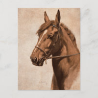 Ginger Sorrel Horse Black Beauty book Kemp-Welch