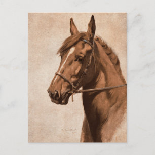 Postal Ginger Sorrel Horse Black Beauty book Kemp-Welch