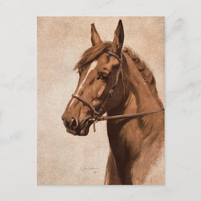 Postal Ginger Sorrel Horse Black Beauty book Kemp-Welch (Anverso)