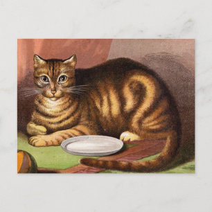 Postal Ginger Tabby Cat Vintage Ilustracion