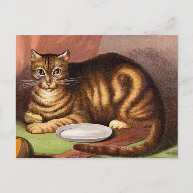 Postal Ginger Tabby Cat Vintage Ilustracion (Anverso)