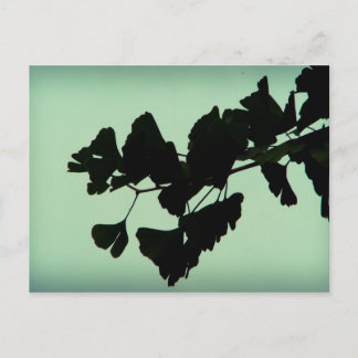 Postal Gingko