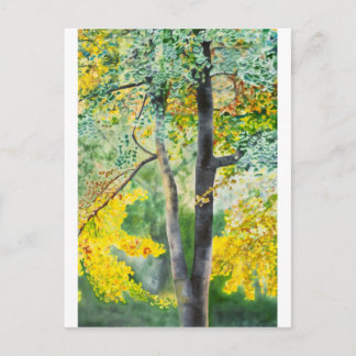 Postal gingko