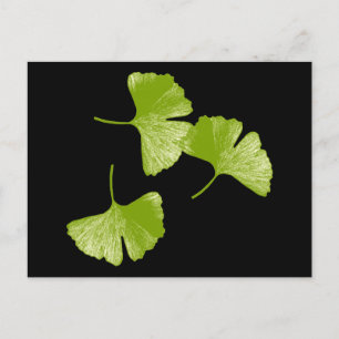 Postal Ginkgo Leaves