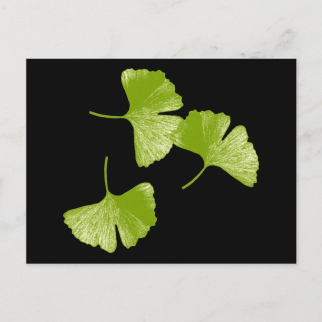 Postal Ginkgo Leaves (Anverso)