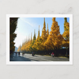 Postal Ginkgo Trees, Avenida Icho Namiki: Tokio