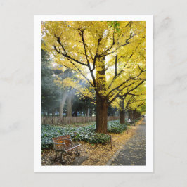 Postal Ginkgo Trees: Meiji Jingu Gaien, Tokio